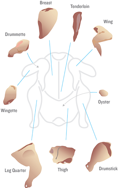 Cuts Of Poultry Chart