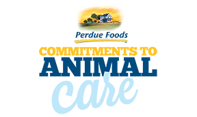 Animal Care