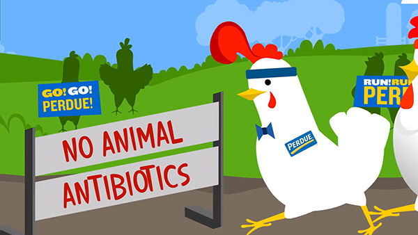 Antibiotic Free Chicken Perdue® 