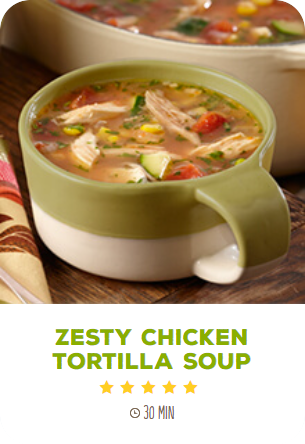 zesty chicken tortialla soup