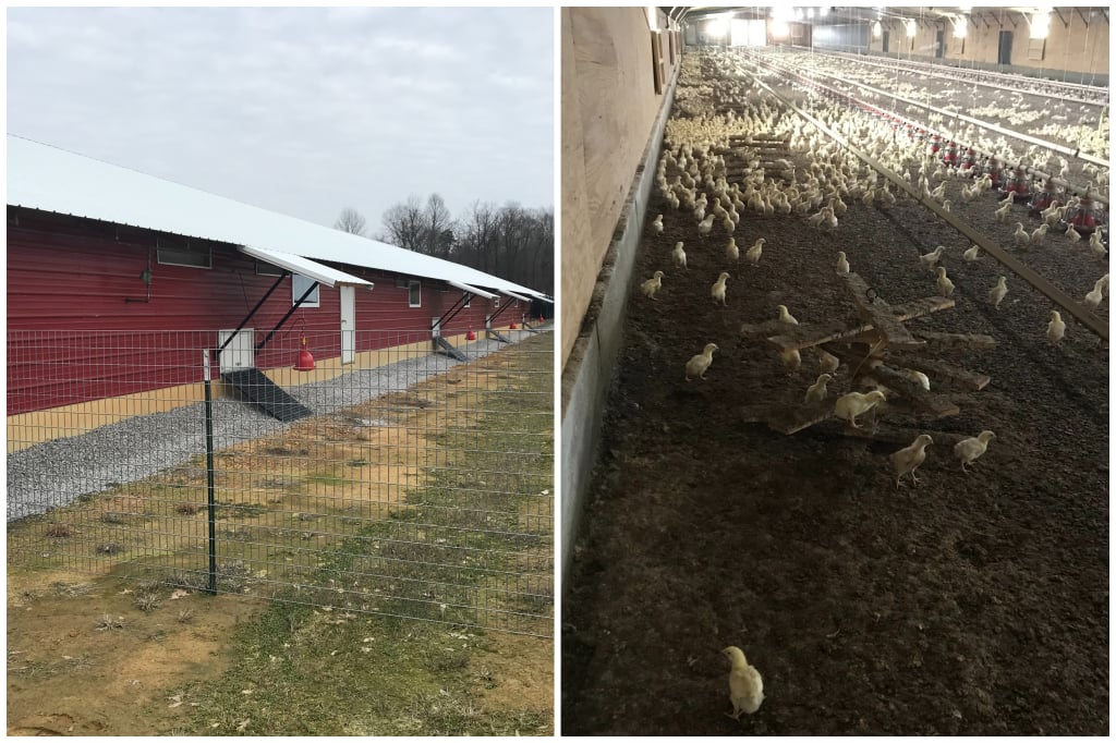Mellot Farms