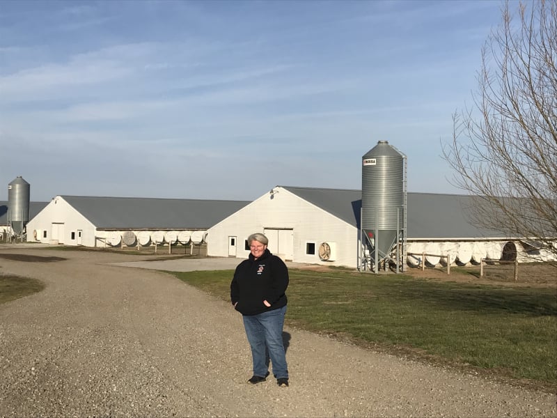 Freedom Farm