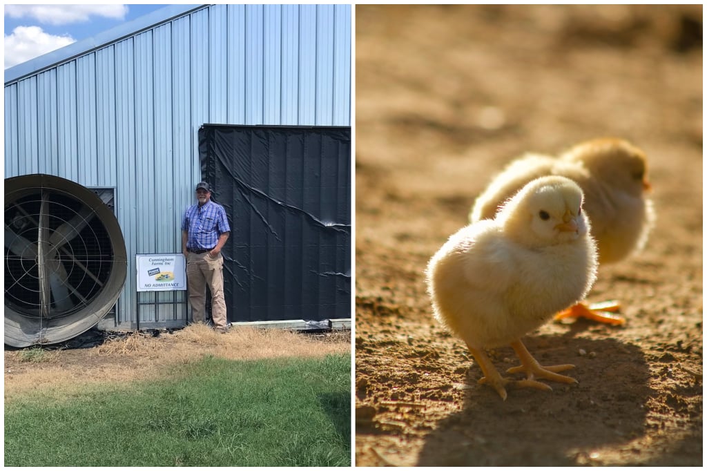 Cunningham Farms, Inc