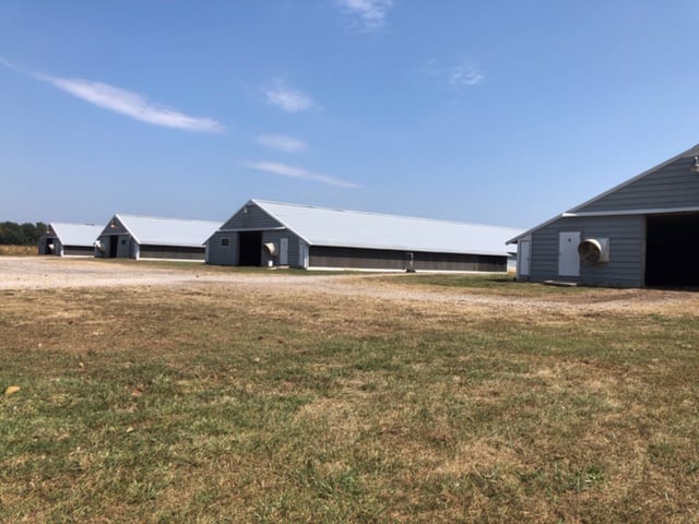 B & R Poultry