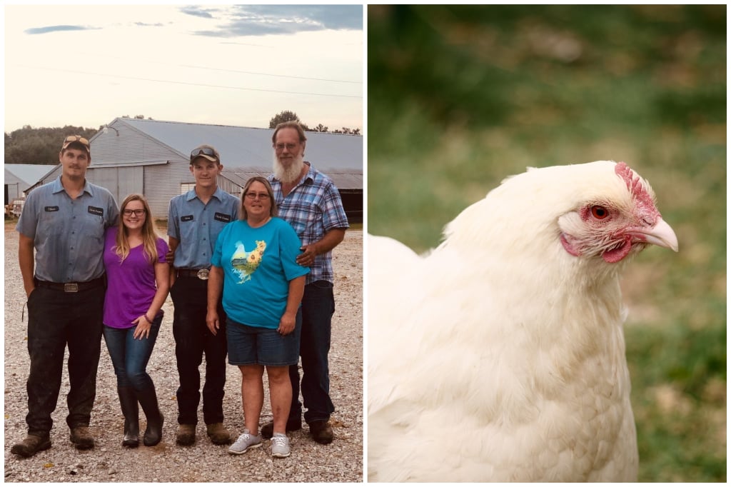 Clark's Poultry Farm