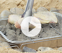 beach-grill