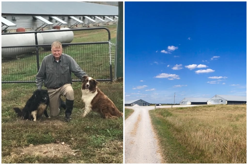 Pup Creek Valley Farm