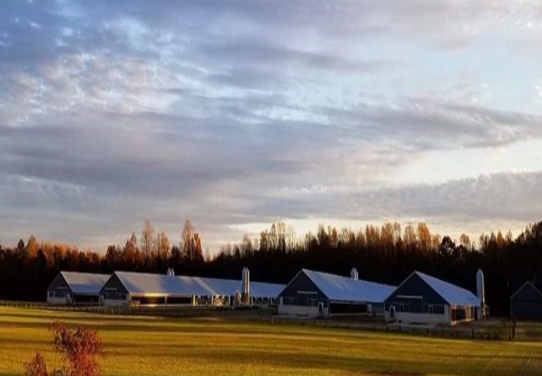 DanKris Farms