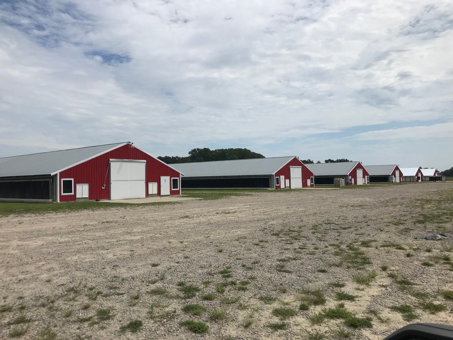 WJP Farm