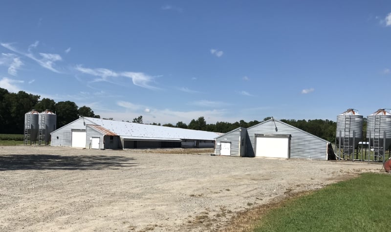 Little Mans Farm