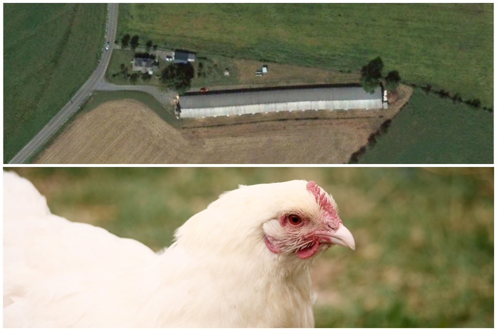 JW Farm