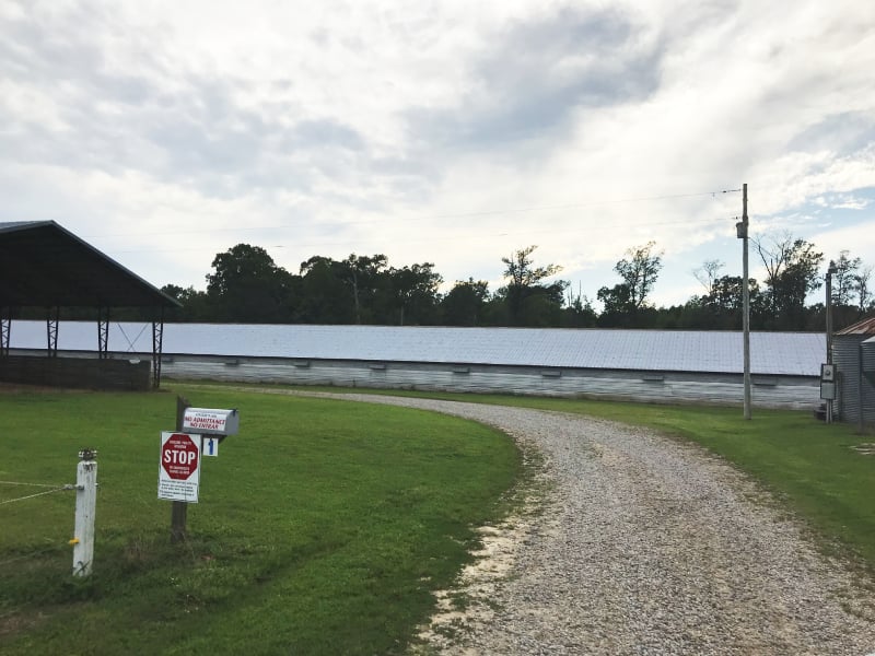 CJ Farm