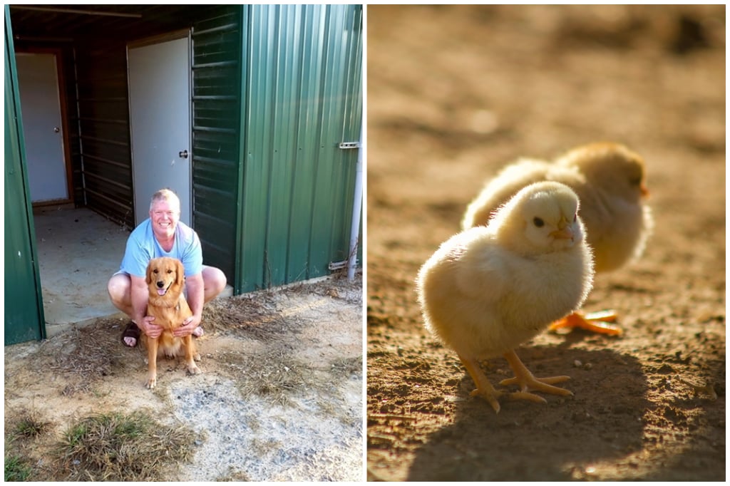 Stacey Whitfield Farms