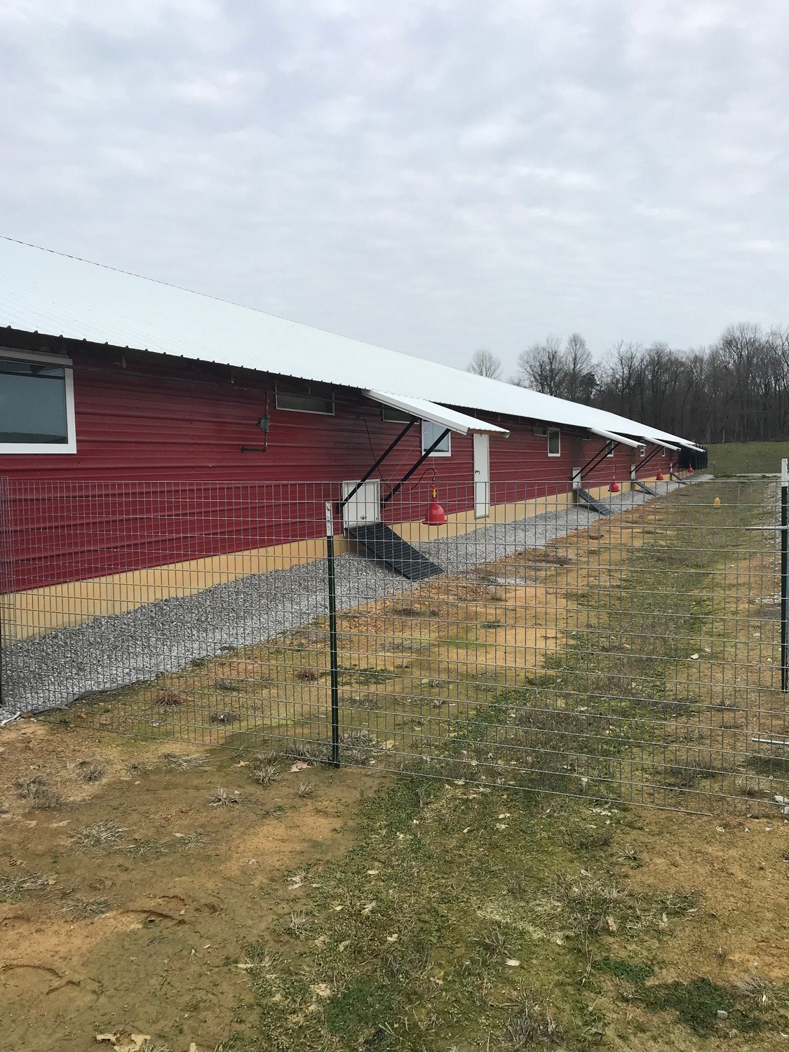 Last Ridge Poultry Farm