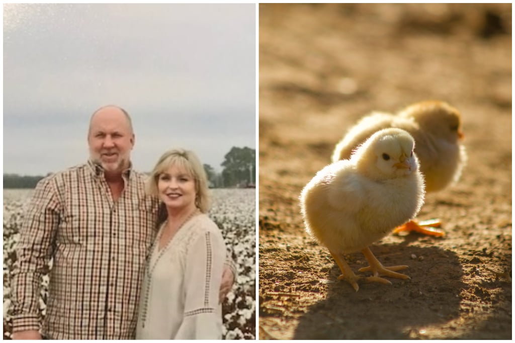 Clay Hill Poultry, LLC