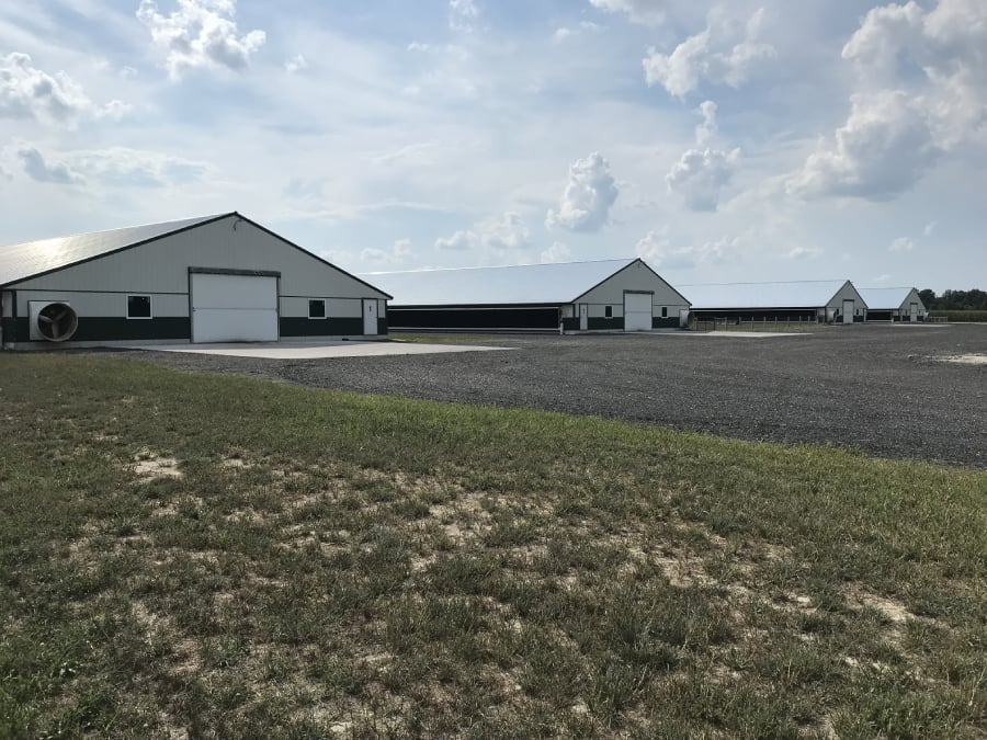JZ Farms