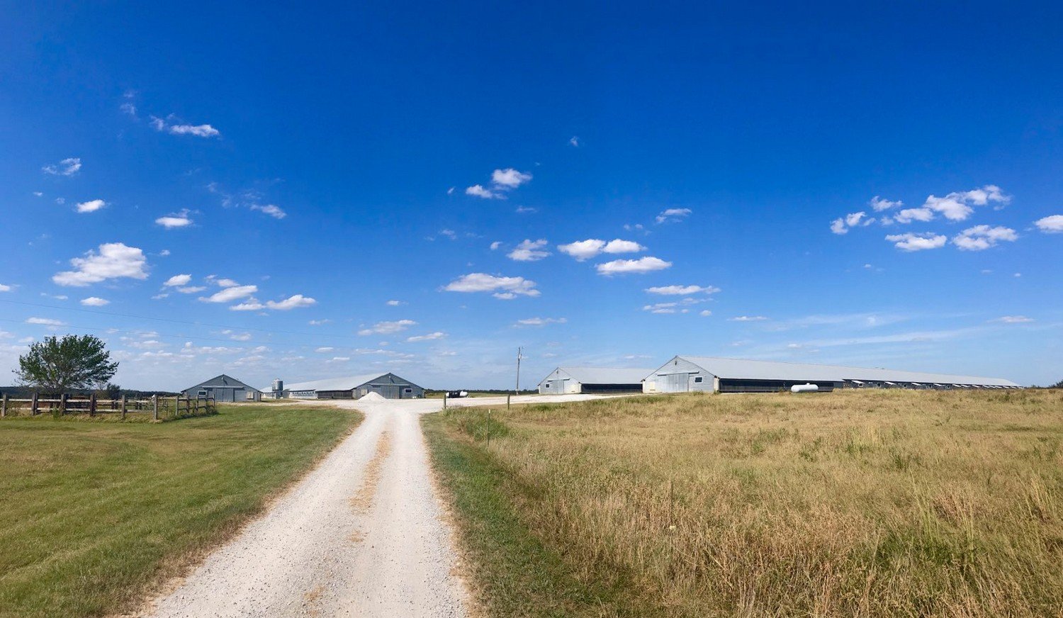 McMillan Meadows