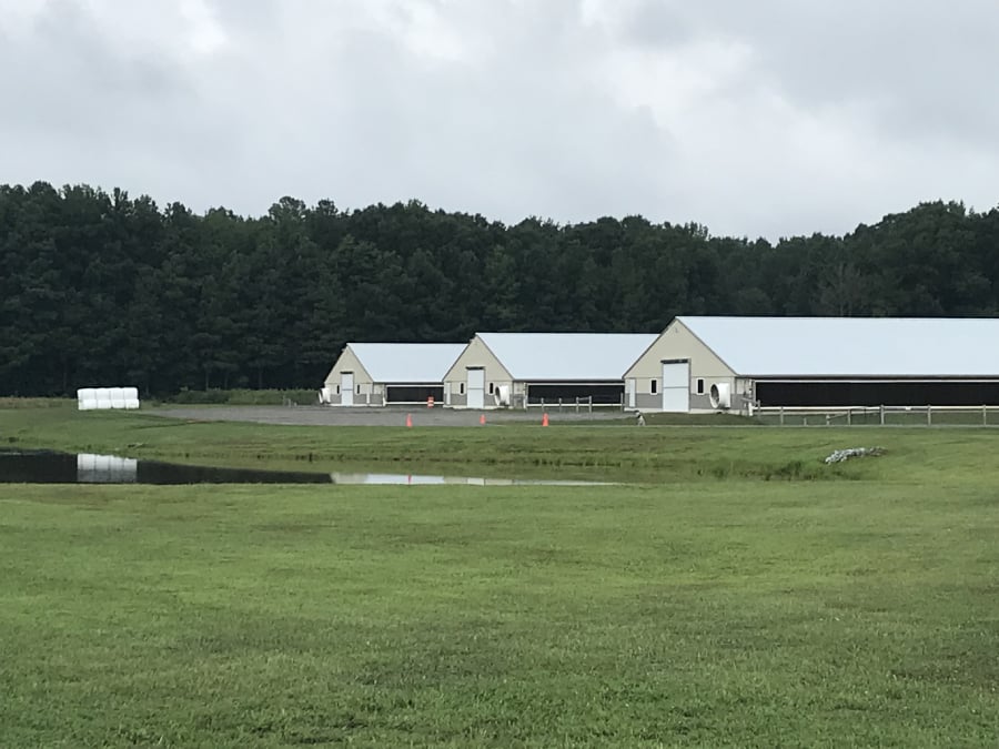 Cornerstone Farms