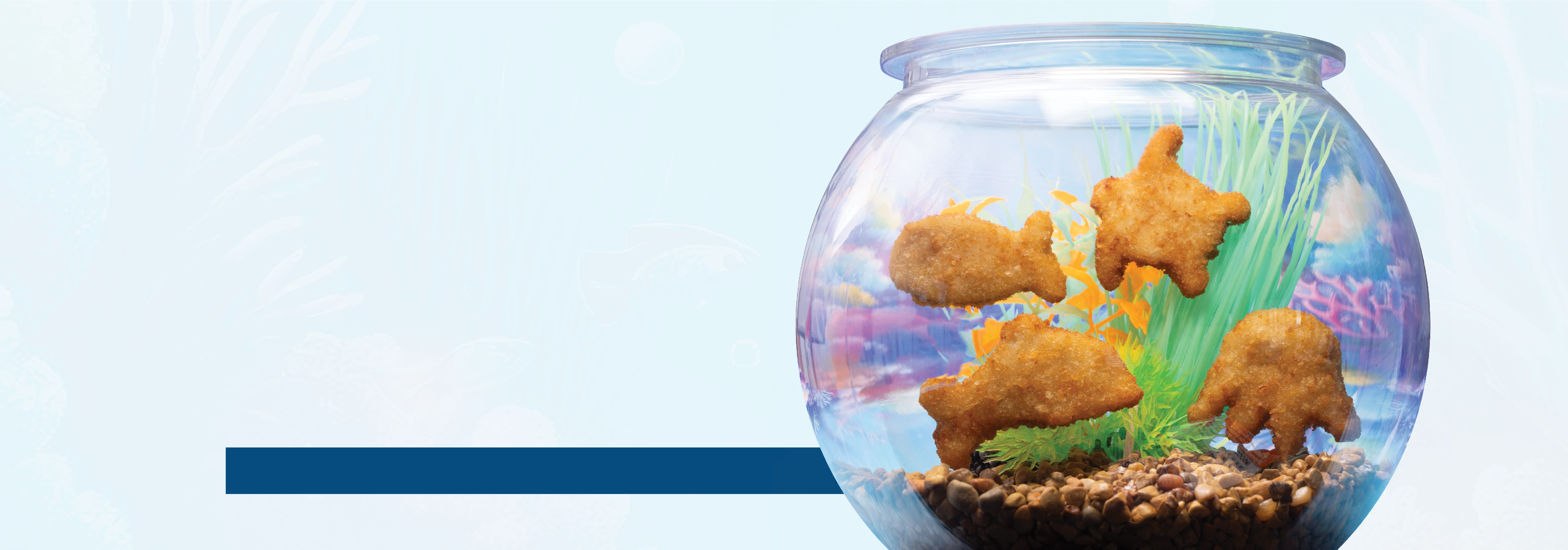 Introducting Sea Creatures