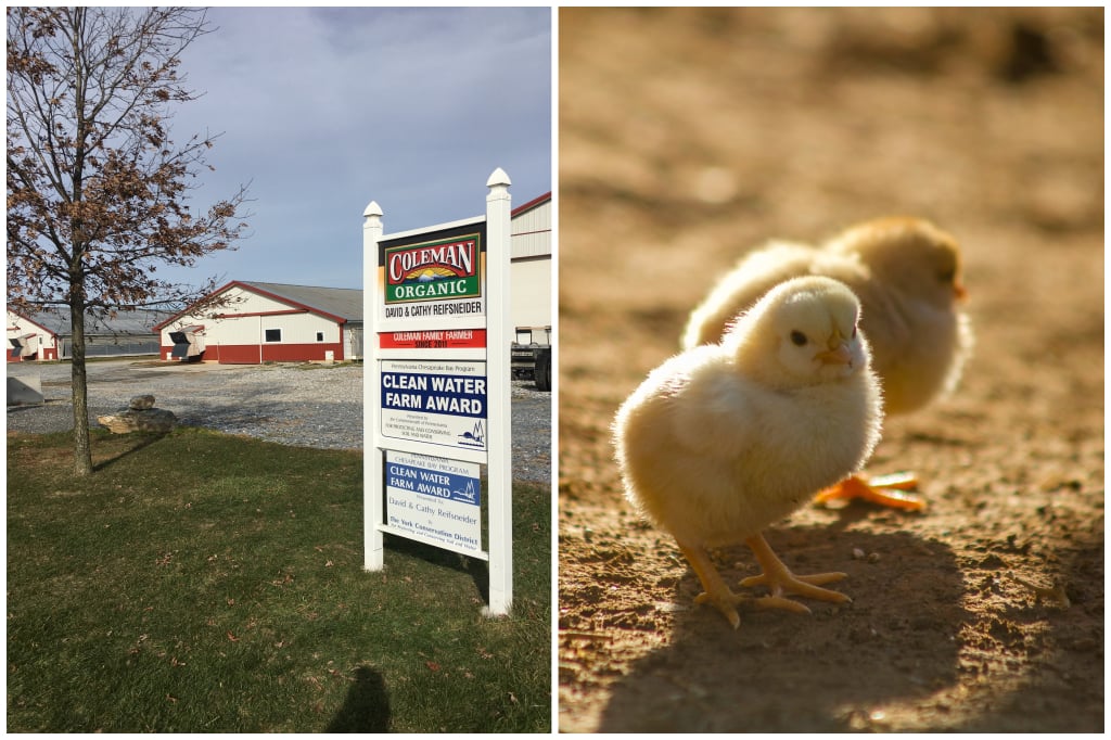 DCT Farm