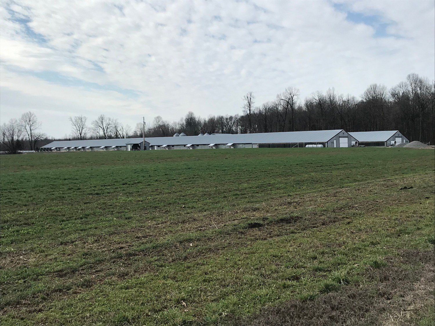 Country Meadows Farm