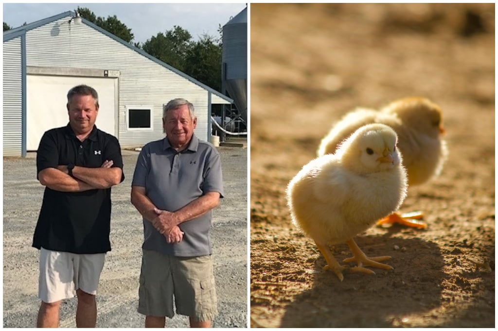 Cale Farm