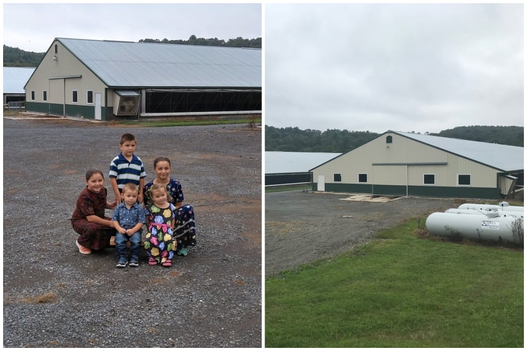 Dwayne Nolt Family Farm