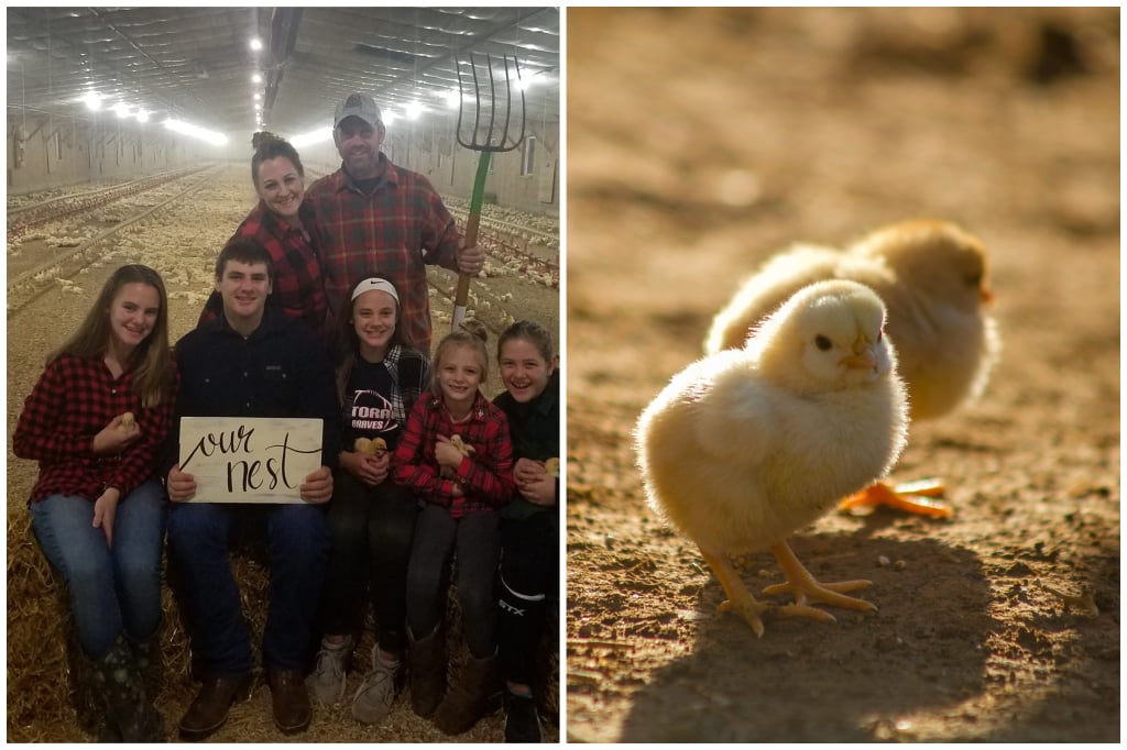 Pleasant View Farm