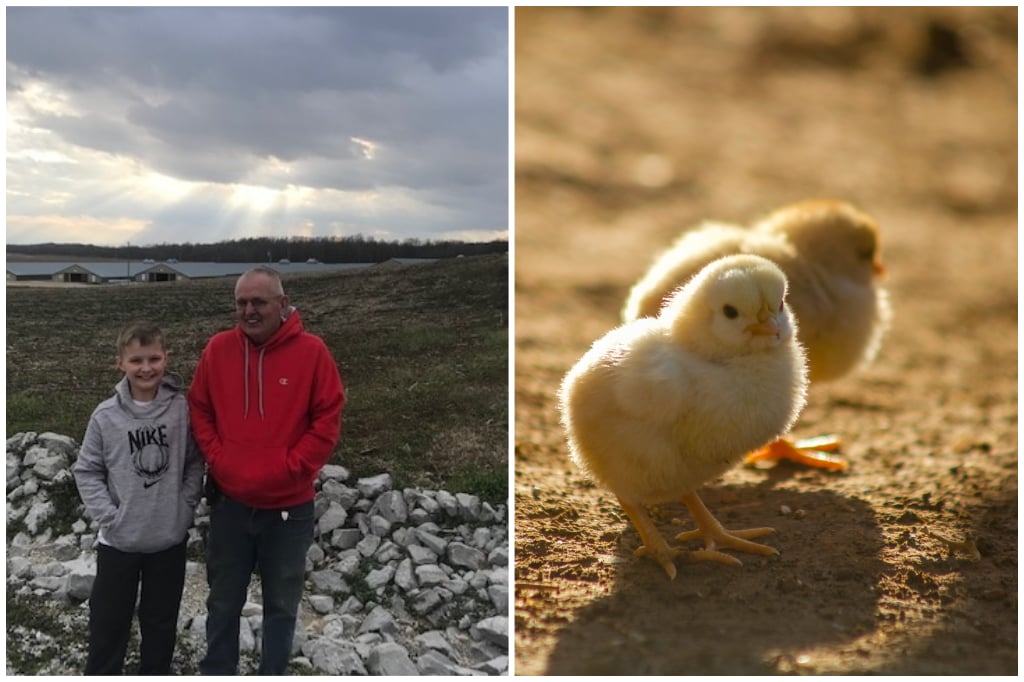 White Gold Farms