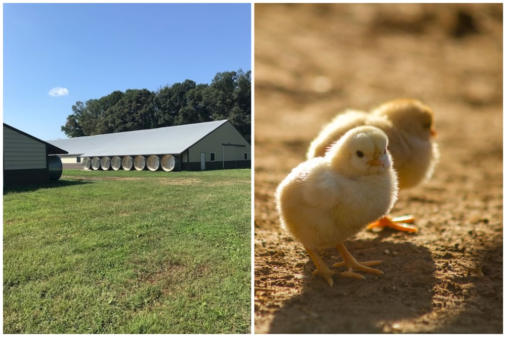AB Acres, LLC