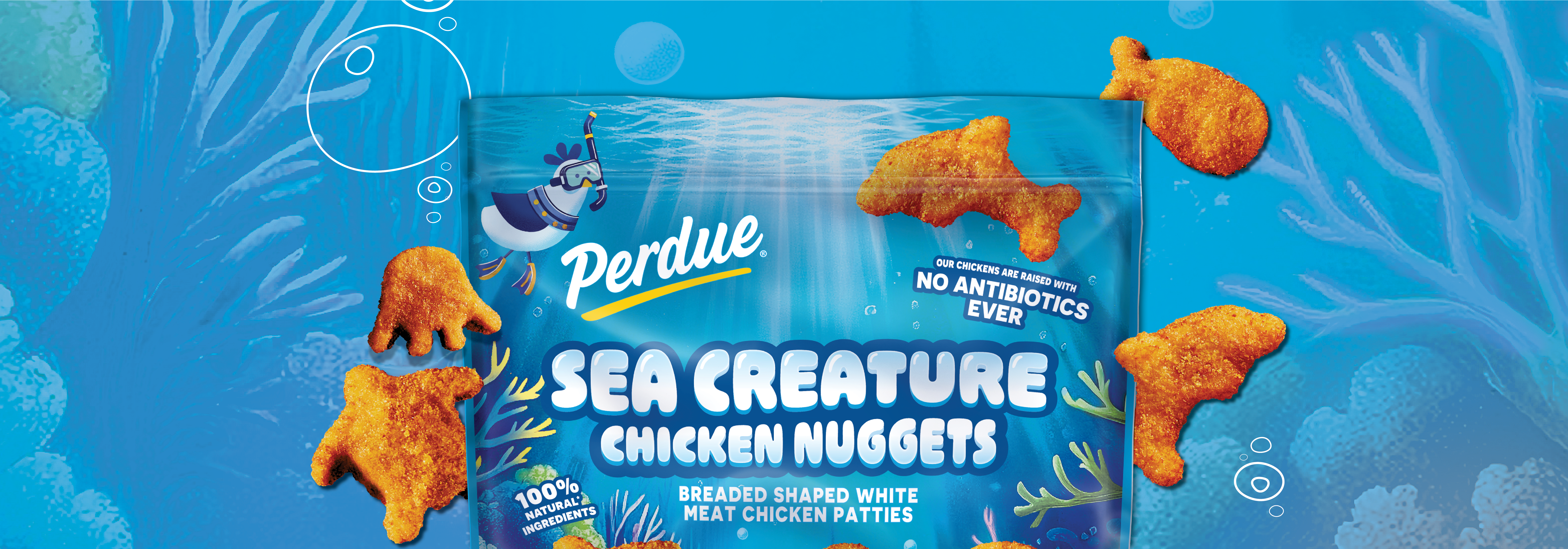 Introducting Sea Creatures