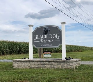 Black Dog Farms