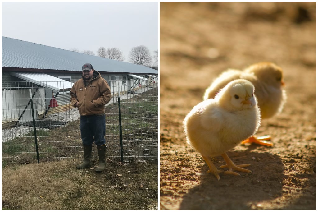 South Point Farm