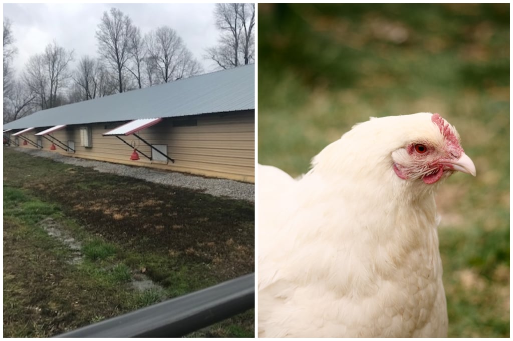 Union Hill Farm