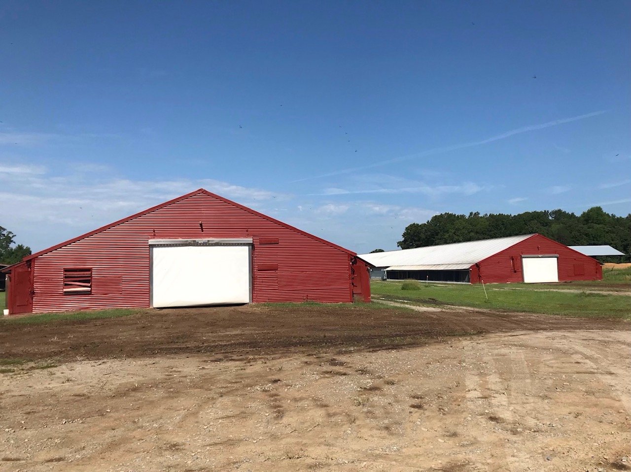 Springfield Farms