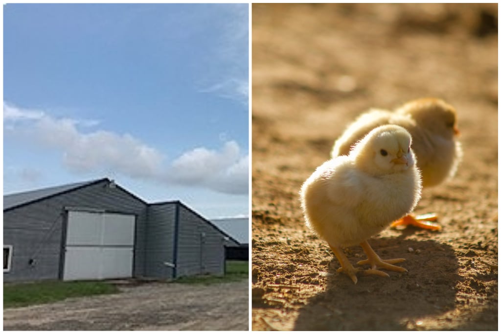 Doug Briggs Farm