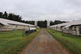 Troyer Farm
