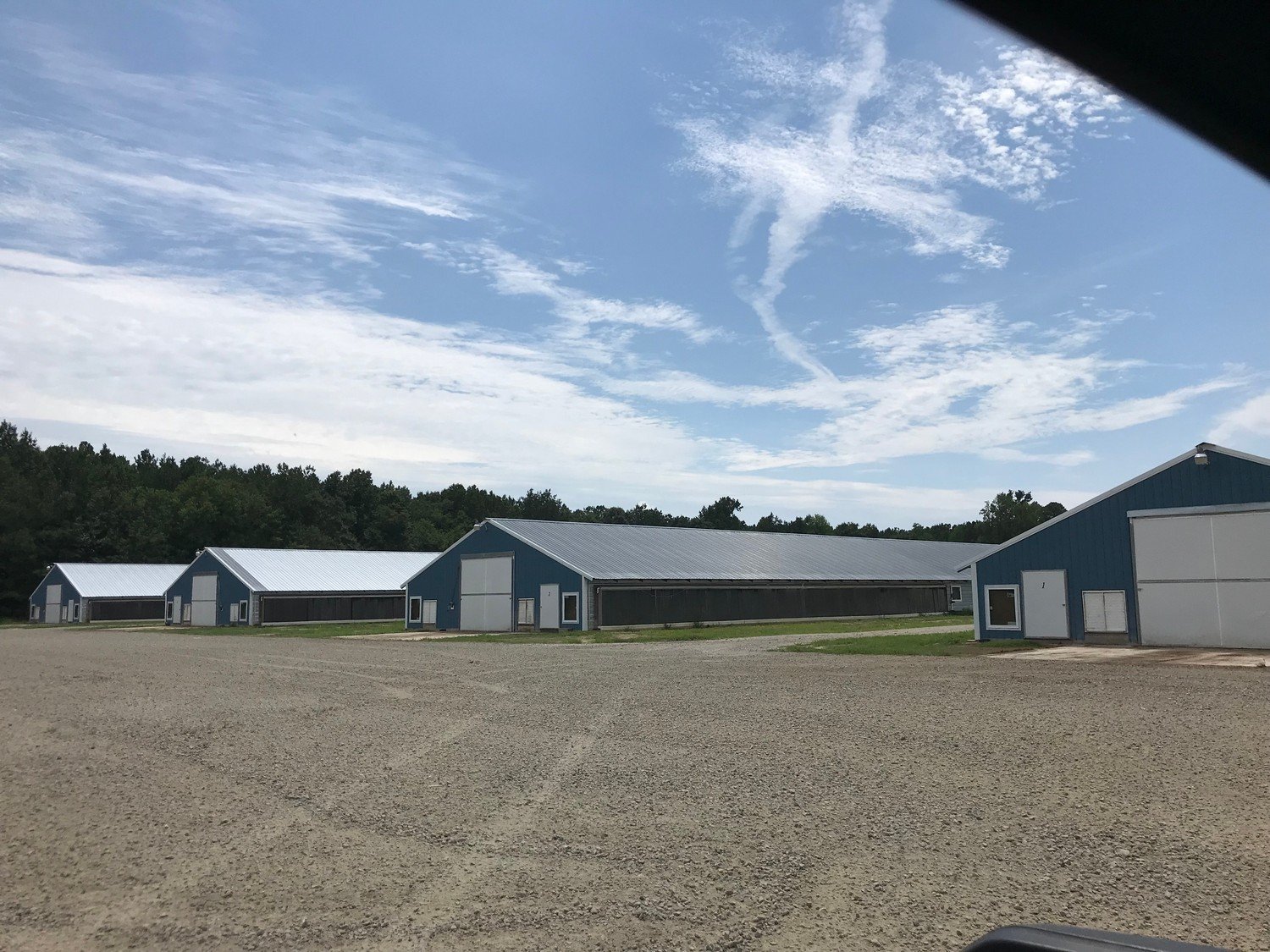 T&D Poultry