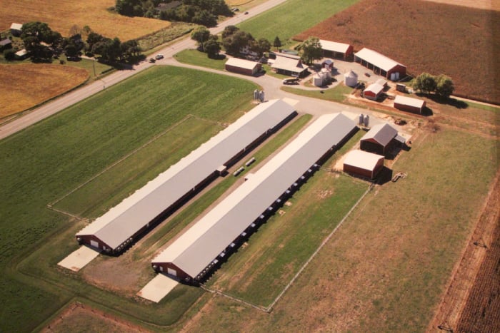 Village View Farms