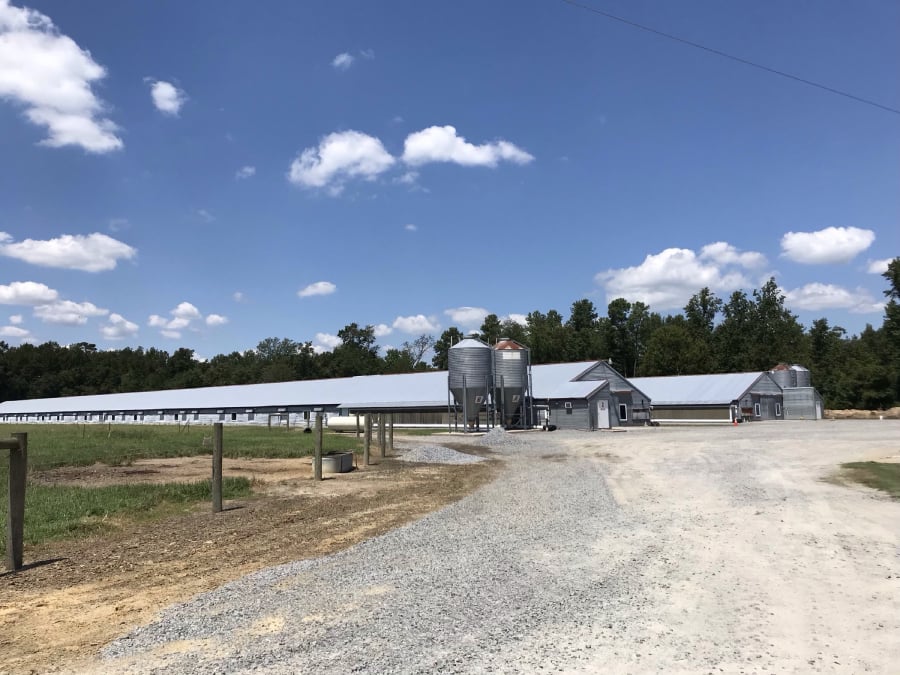 Hodges Farm
