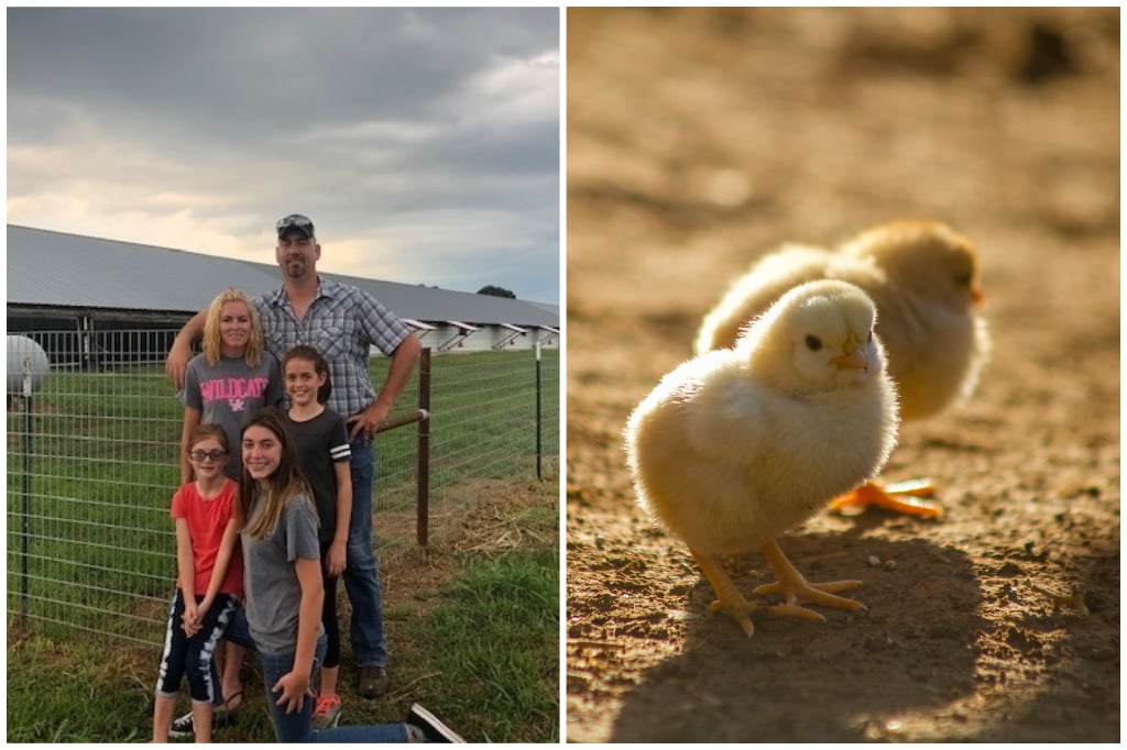 Rock Ridge Poultry