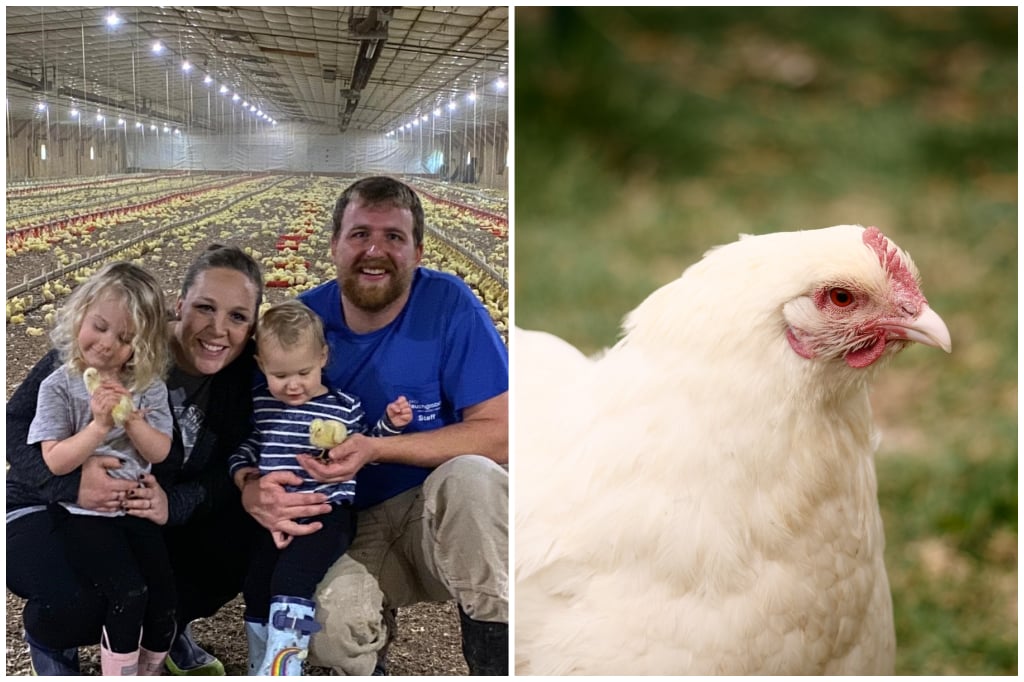 Stone Chimney Farm