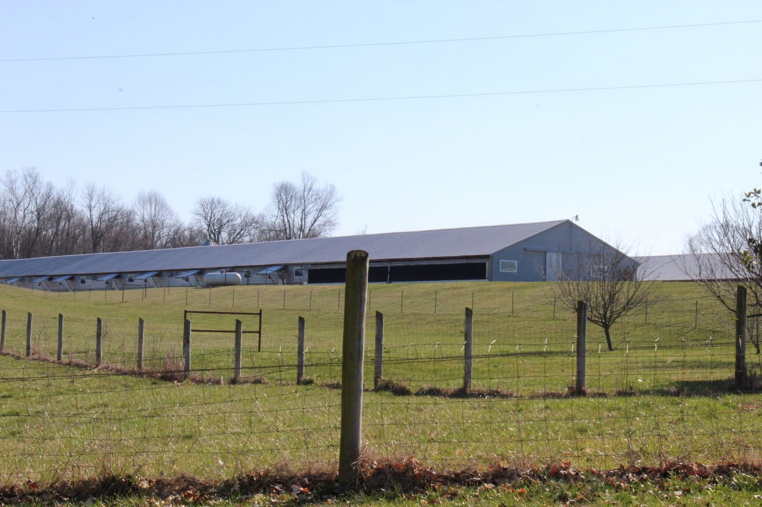 Steve Mast Farm