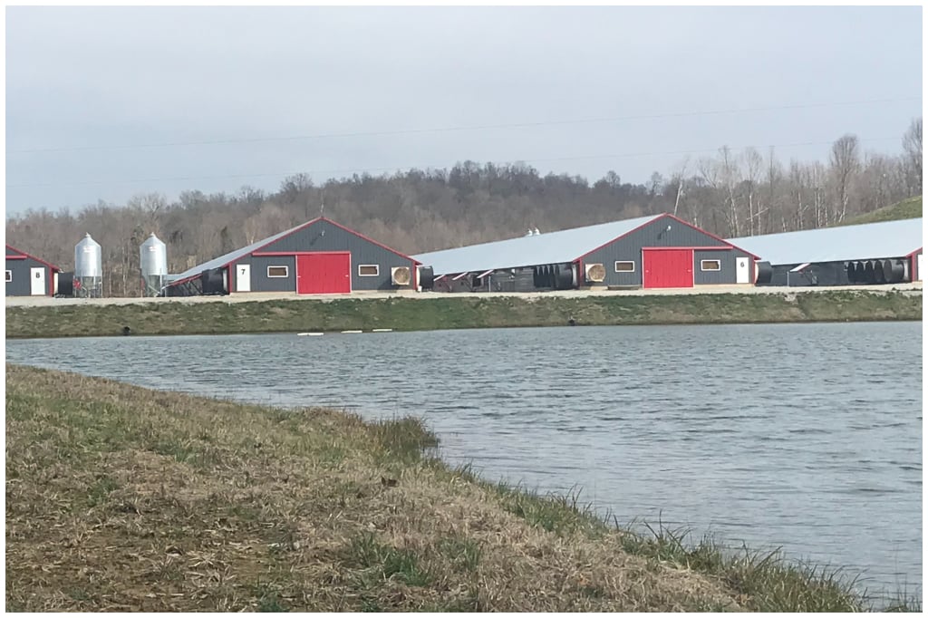 RCS Farm