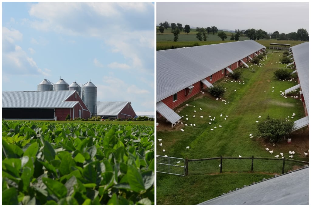 Daryl Weaver Farm