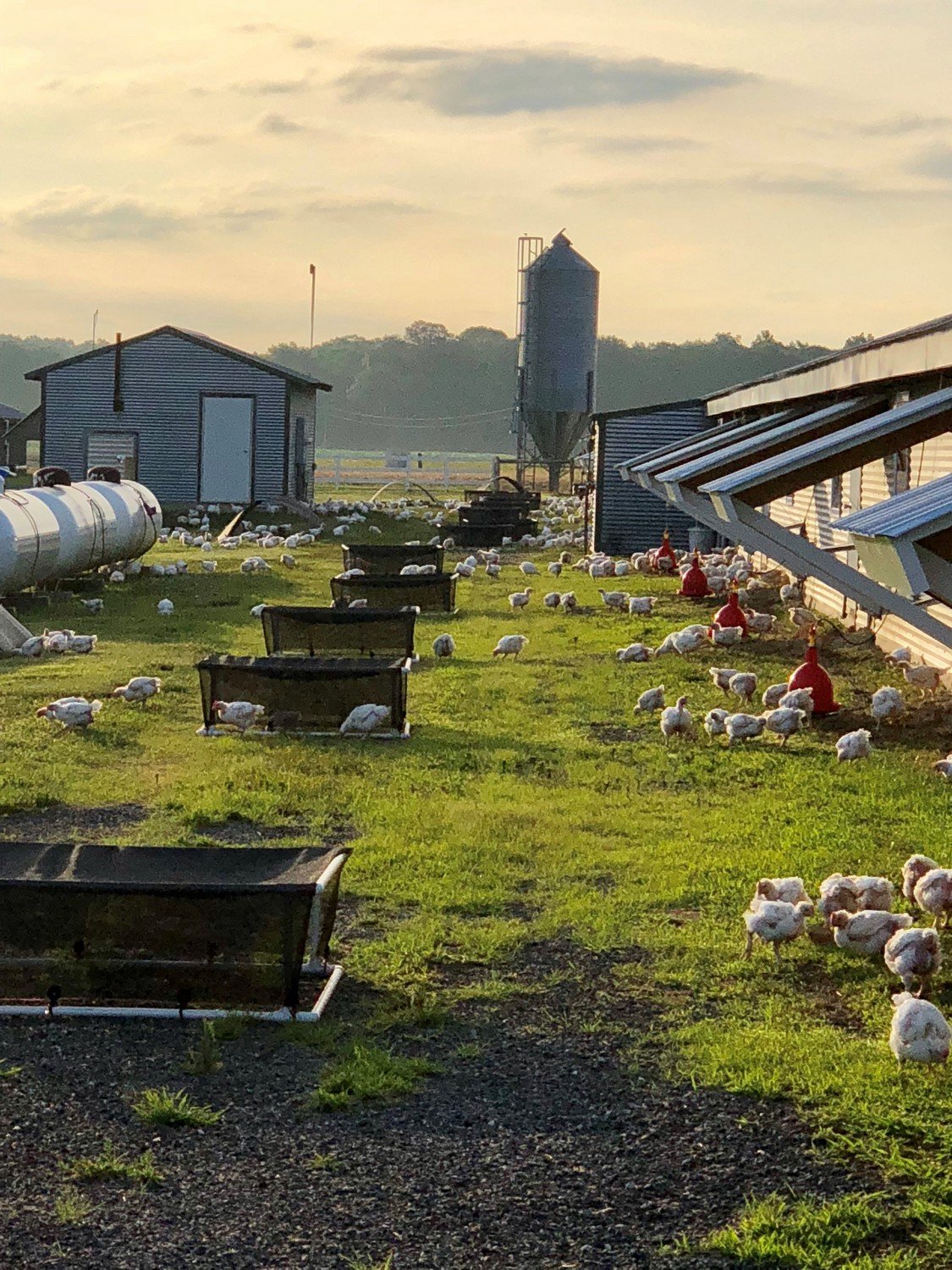 R Place Farm