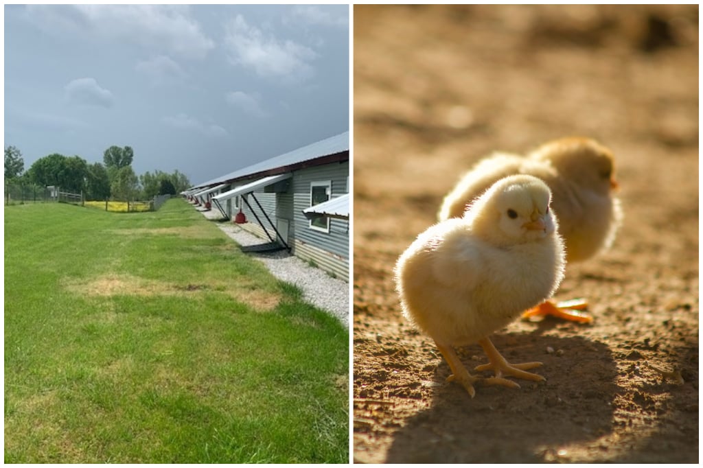 Smith Land Farm