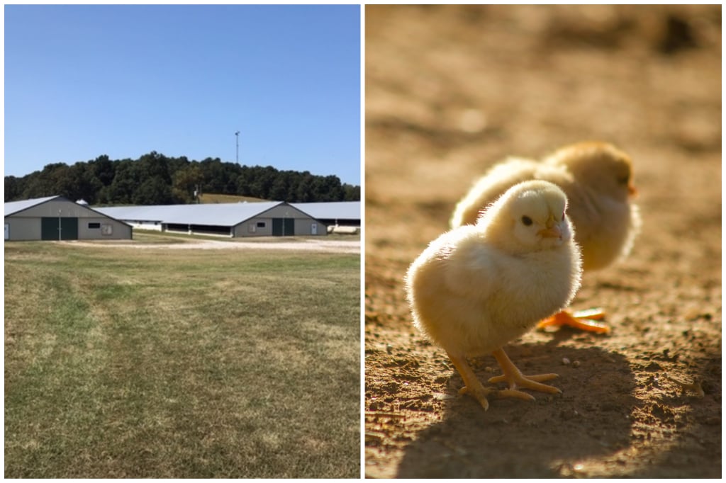 Aud Farms