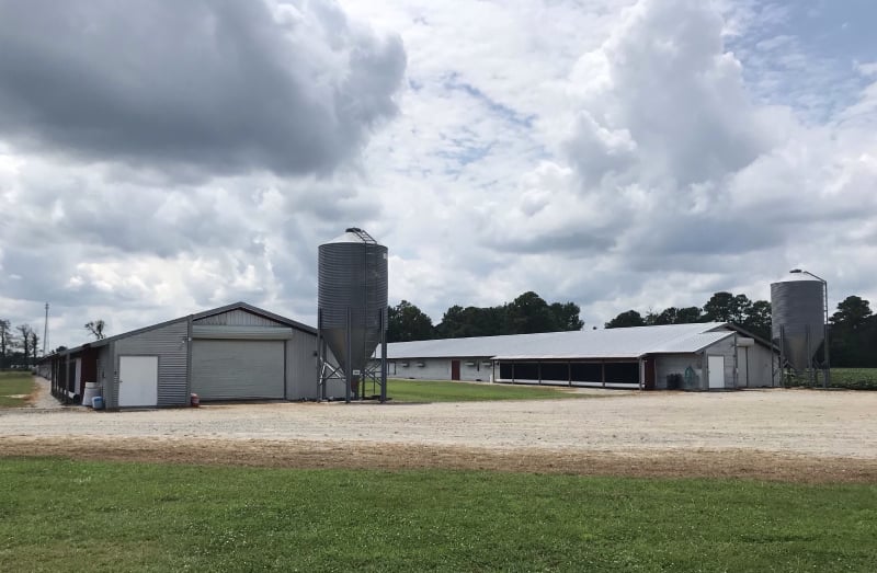 Red Hill Poultry Farm