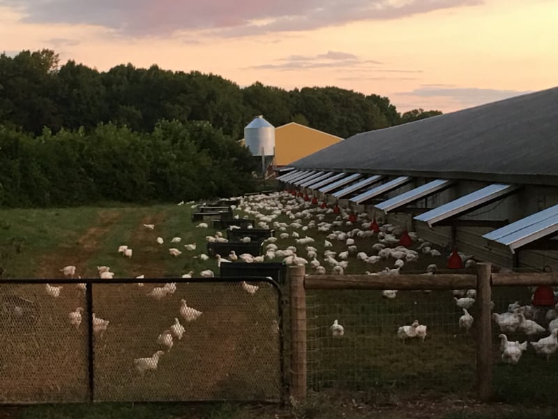 Turning Point Farm